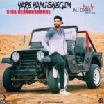 Sina Derakhshande Yare Hamishegim Remix